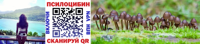 блэк спрут как зайти  Большой Камень  Псилоцибиновые грибы MAGIC MUSHROOMS 
